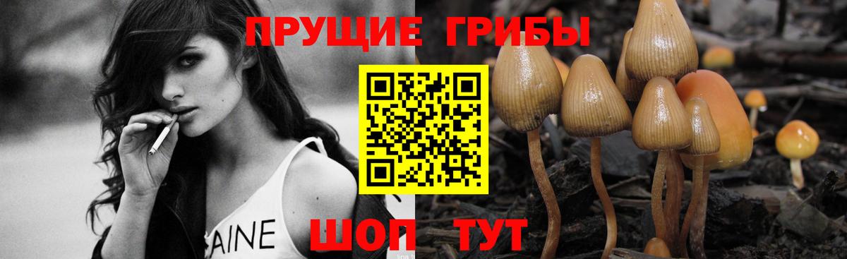 Ростов Великий  Галлюциногенные грибы MAGIC MUSHROOMS  Вход с VPN  Псилоцибиновые грибы MAGIC MUSHROOMS 